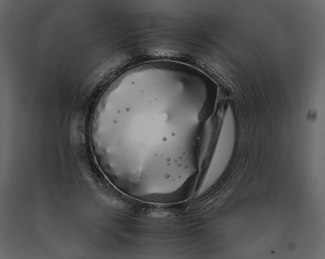 X0000091240547200708231719