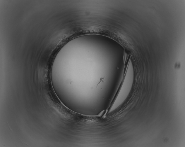 X0000091240548200708231719