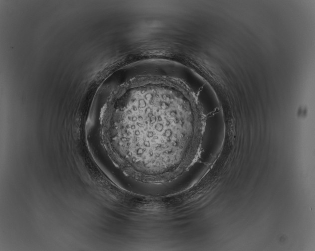X0000091240551200708231719