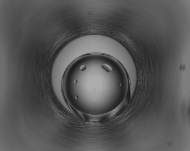 X0000091240552200708231719