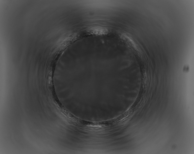 X0000091240553200708231719
