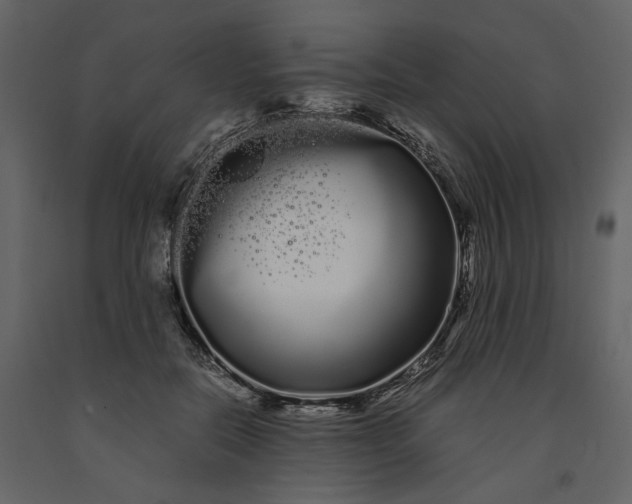 X0000091240554200708231720
