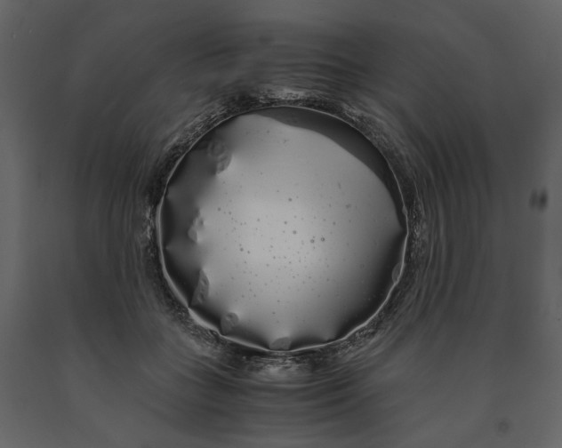 X0000091240555200708231720