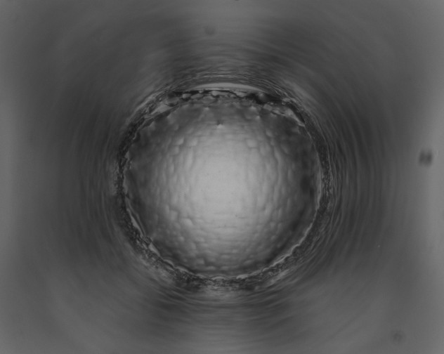 X0000091240556200708231720