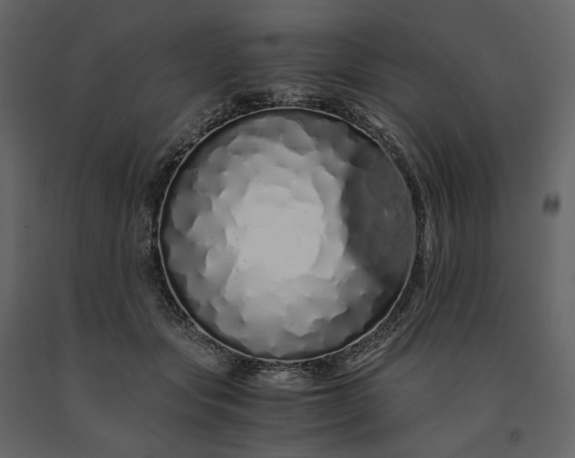 X0000091240557200708231720