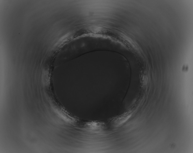 X0000091240558200708231720