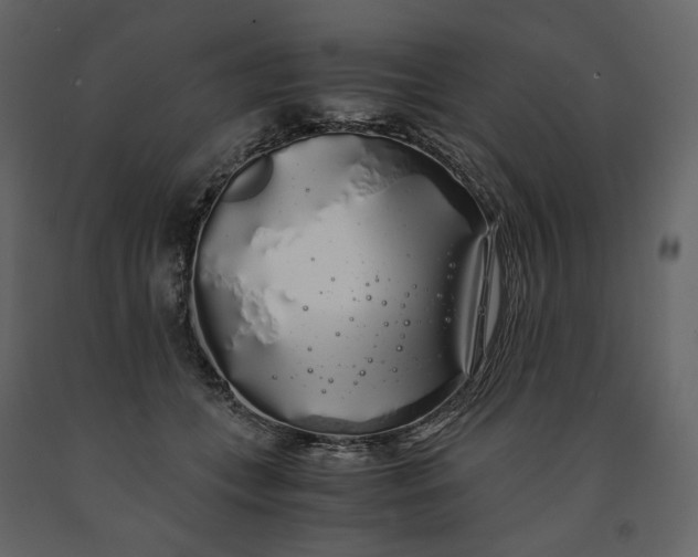 X0000091240559200708231720