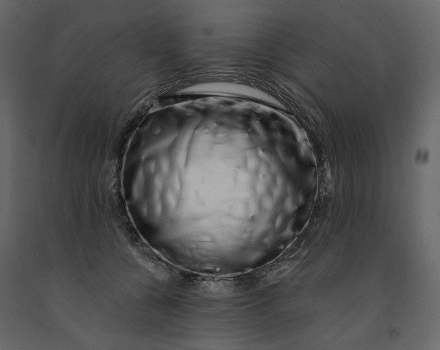 X0000091240560200708231720