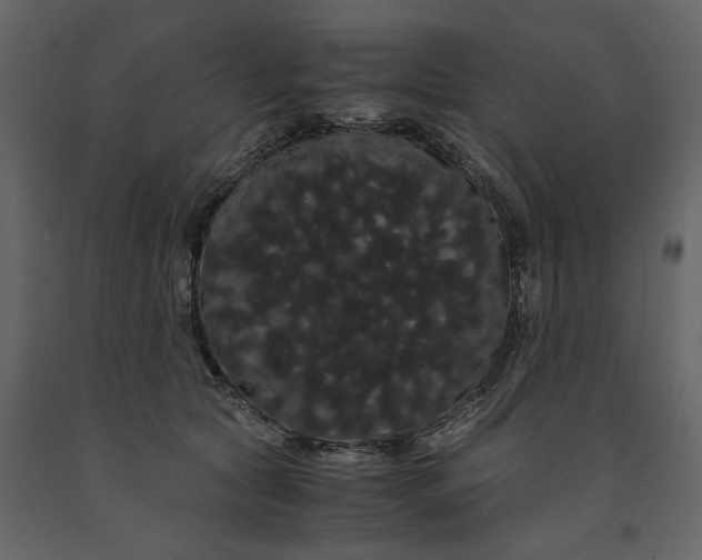 X0000091240561200708231720
