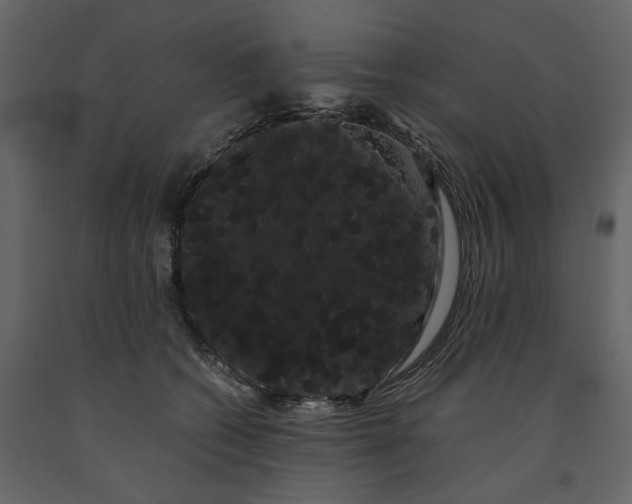 X0000091240562200708231720