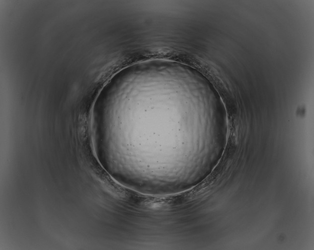 X0000091240563200708231720