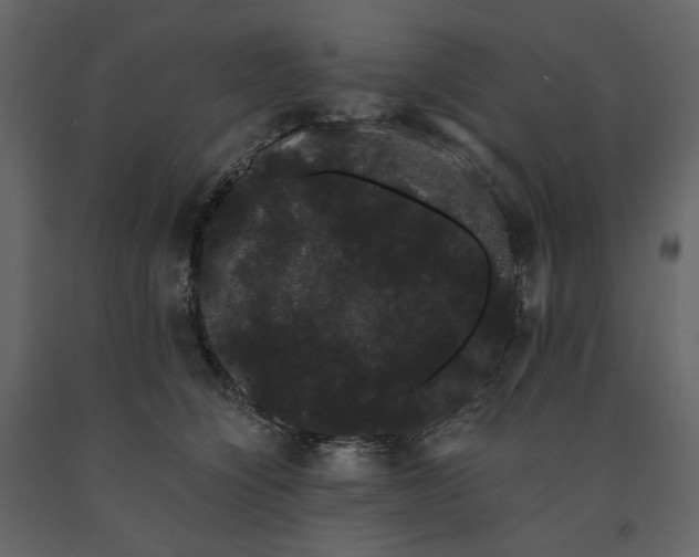 X0000091240564200708231720