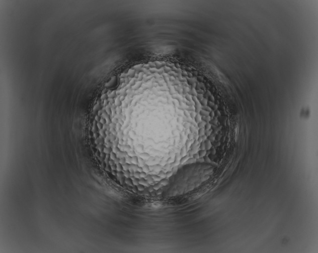 X0000091240565200708231720