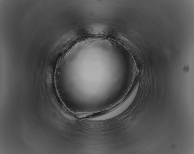 X0000091240566200708231720