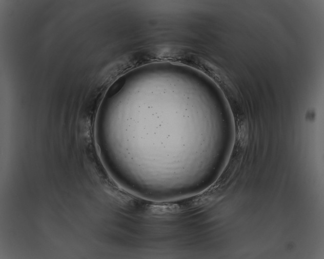 X0000091240571200708231720