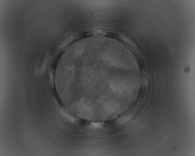 X0000091240573200708231720