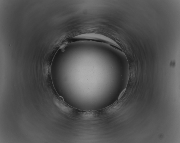 X0000091240574200708231720