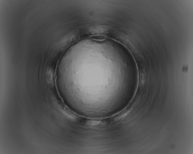 X0000091240575200708231720