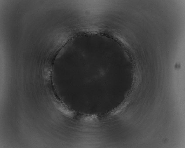 X0000091240576200708231720