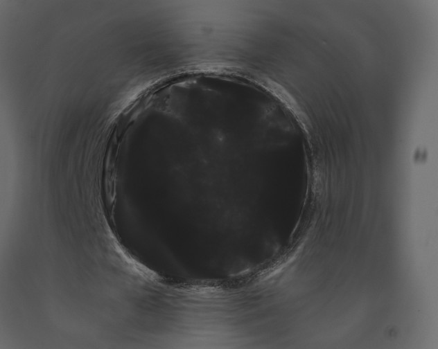 X0000091240577200708231719