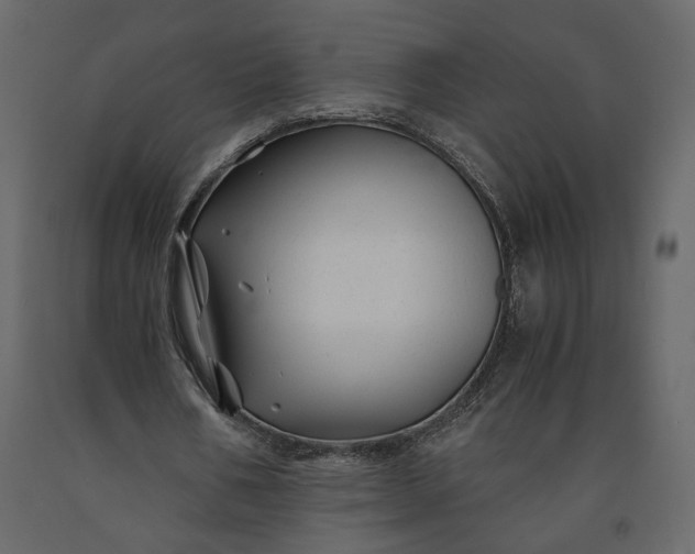 X0000091240578200708231719