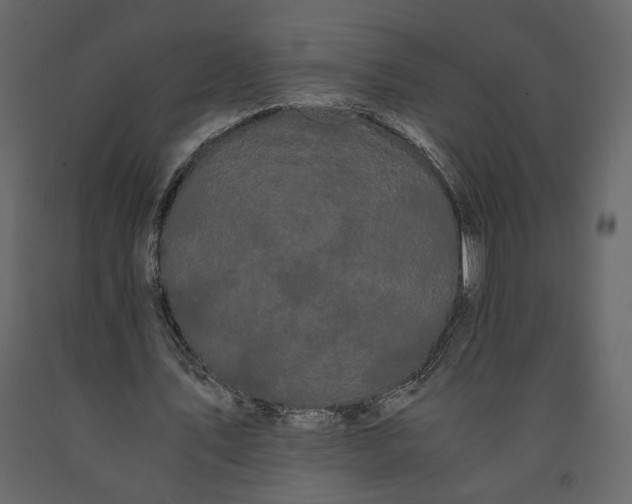 X0000091240579200708231719