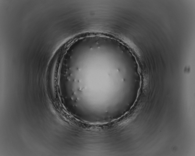 X0000091240580200708231719