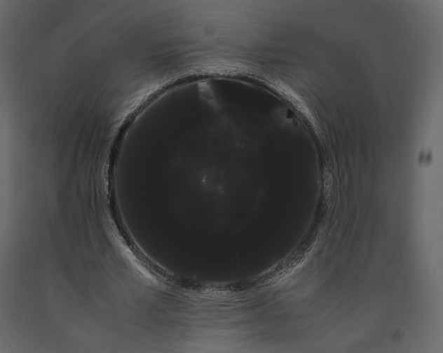 X0000091240581200708231719