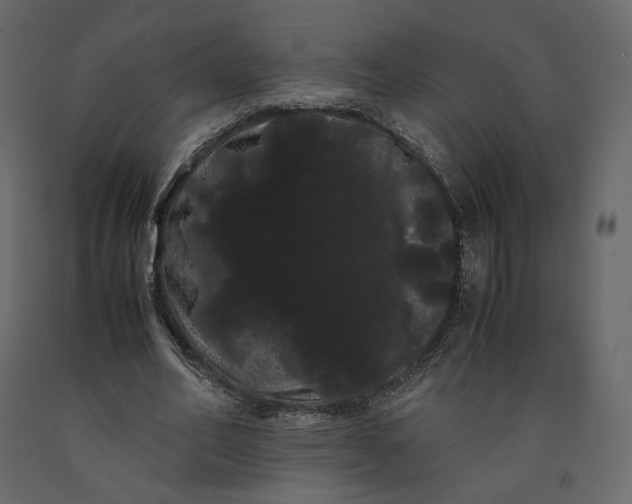 X0000091240582200708231719