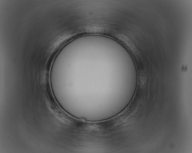 X0000091240583200708231719