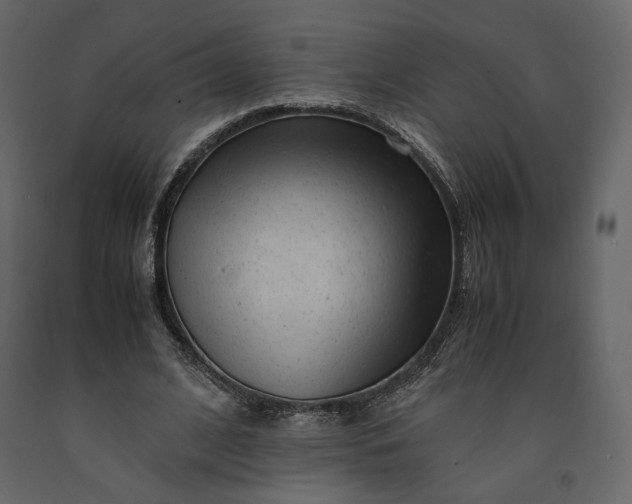X0000091240584200708231719