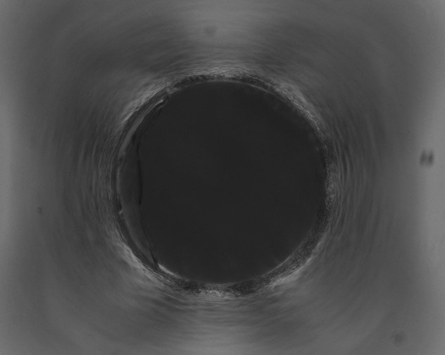X0000091240585200708231719