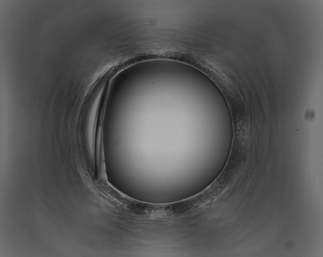 X0000091240587200708231719