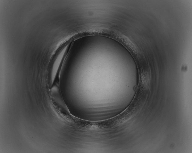 X0000091240588200708231719