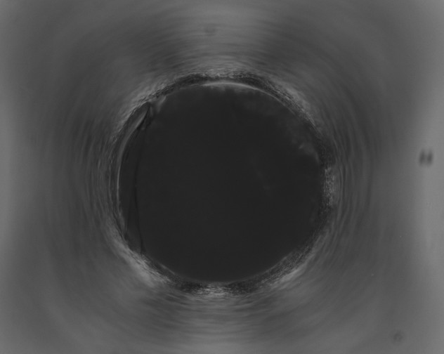 X0000091240589200708231719