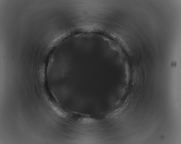 X0000091240590200708231719