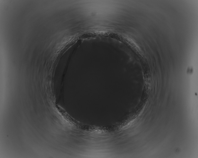 X0000091240593200708231719