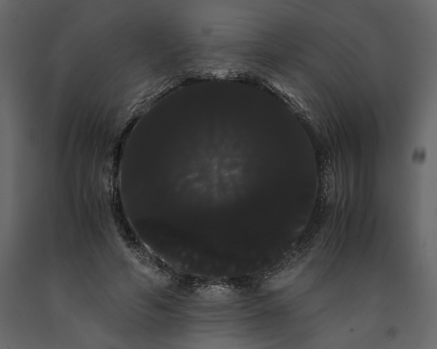 X0000091240594200708231719