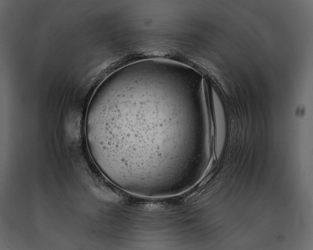 X0000091240596200708231719