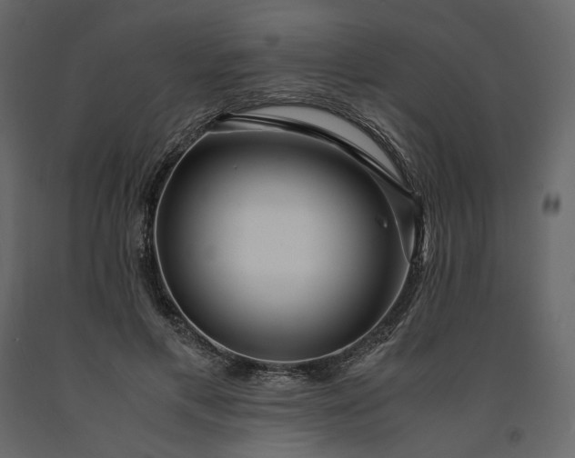 X0000091240597200708231719