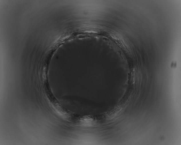 X0000091240598200708231719