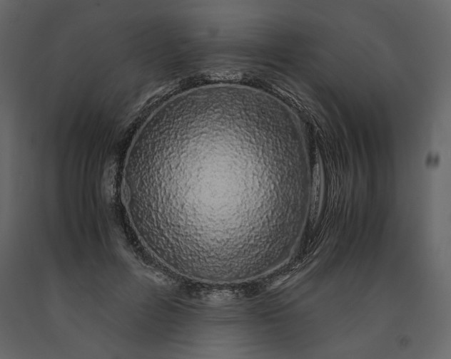 X0000091240600200708231719