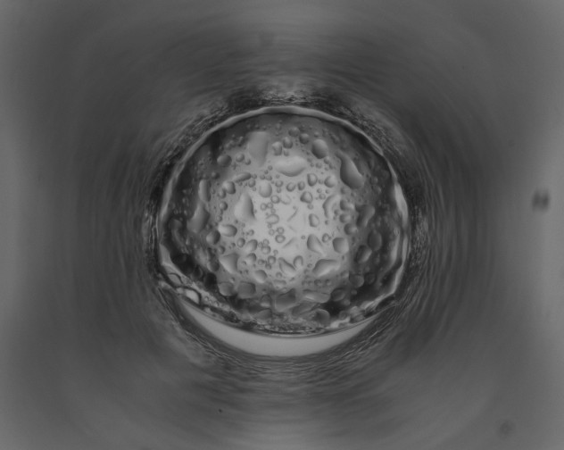 X0000091240601200708231719