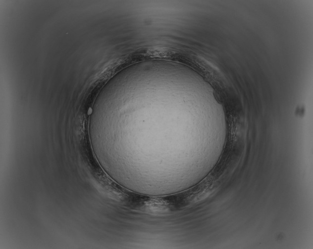 X0000091240603200708231719