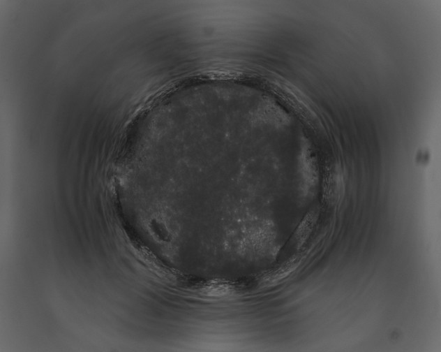 X0000091240604200708231719