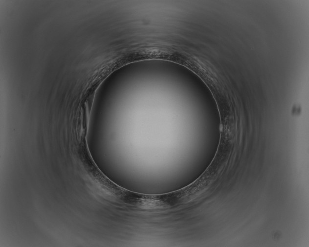 X0000091240605200708231719