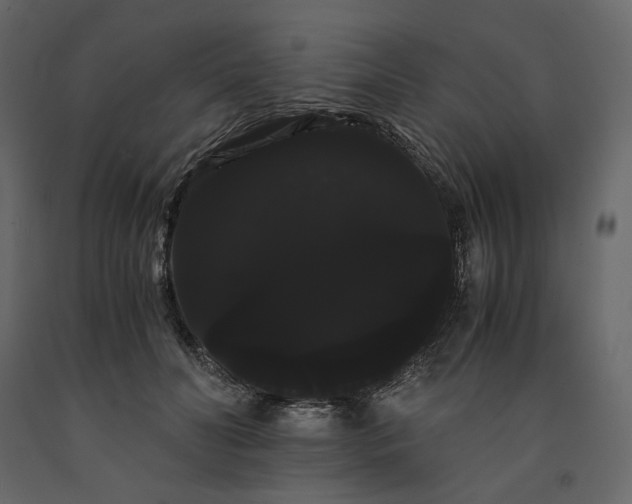 X0000091240606200708231719
