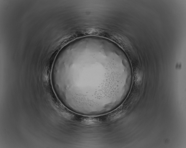 X0000091240607200708231719