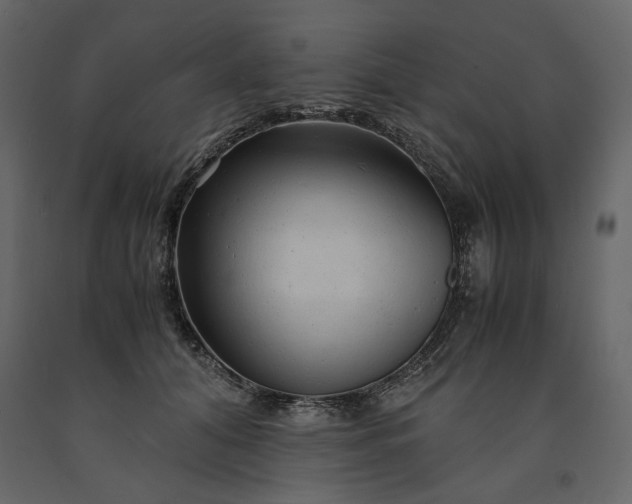X0000091240608200708231719