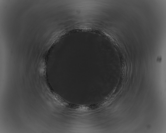X0000091240609200708231719